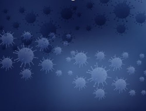 Research Brief Image